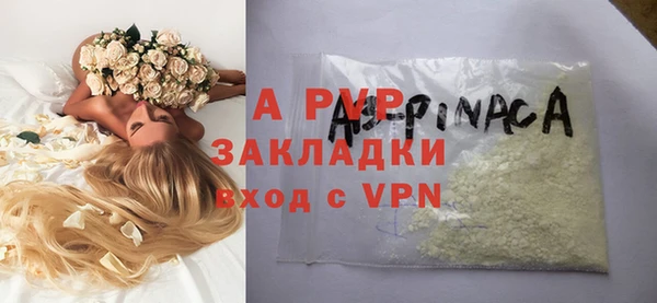 индика Новозыбков