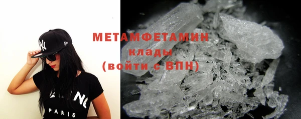 индика Новозыбков
