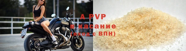 индика Новозыбков