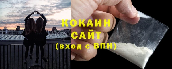 индика Новозыбков