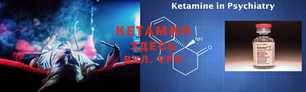 индика Новозыбков
