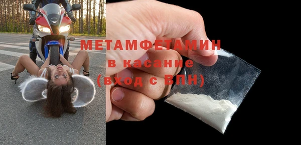 индика Новозыбков