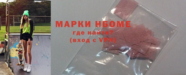 индика Новозыбков