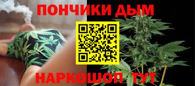 кокс Гатчина