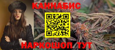 кокс Гатчина