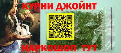 дживик Гай