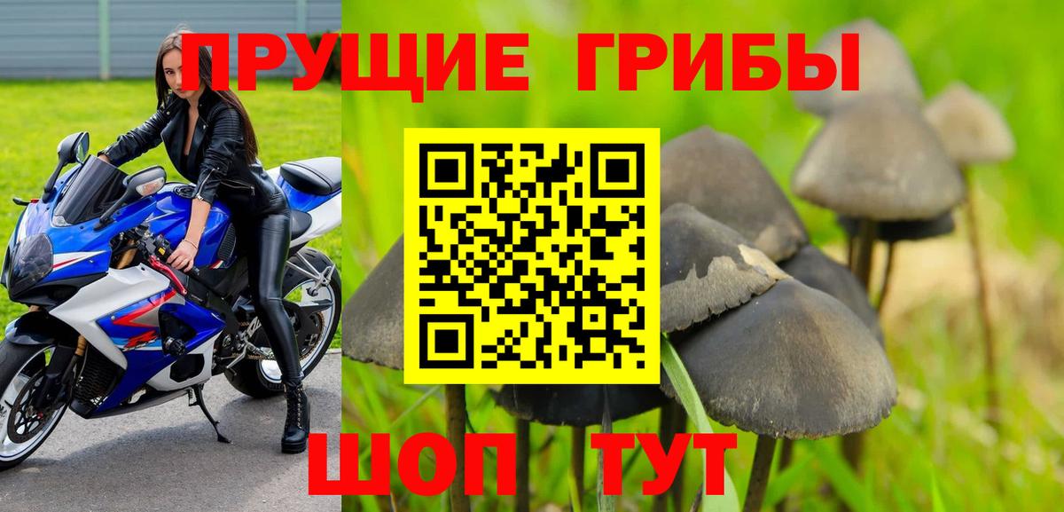 Галлюциногенные грибы GOLDEN TEACHER Ипатово