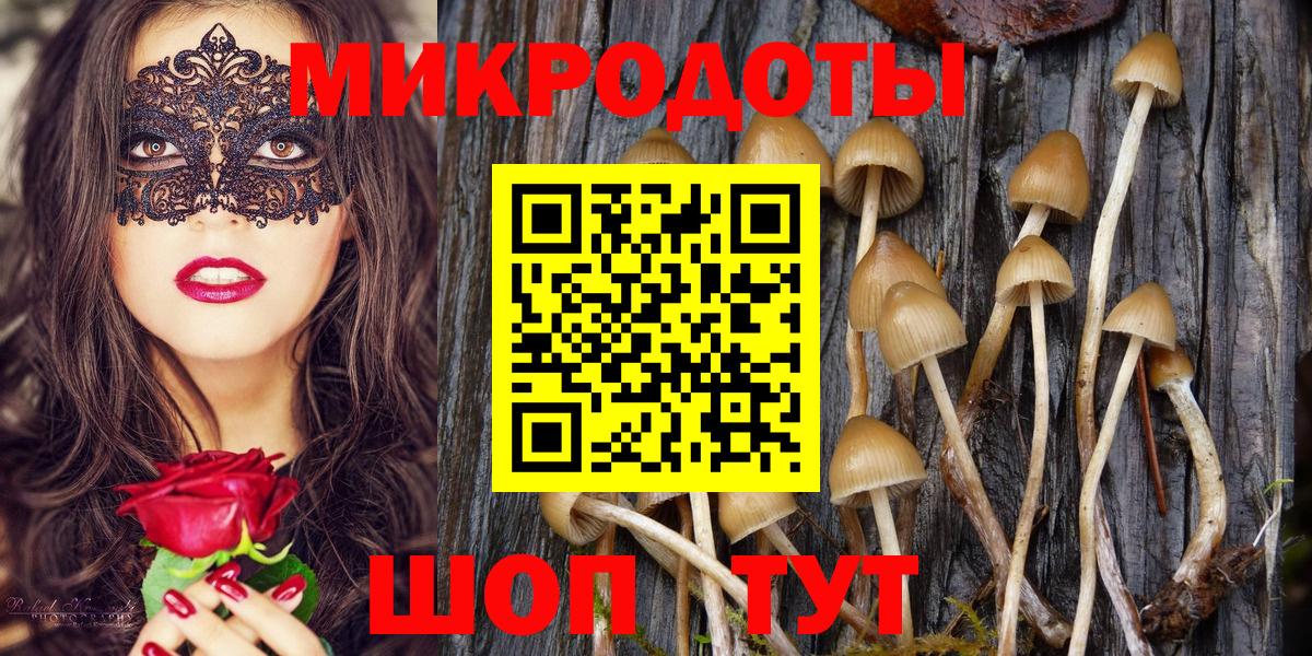 Ипатово  Псилоцибиновые грибы Magic Shrooms  Галлюциногенные грибы GOLDEN TEACHER  Вход с VPN 