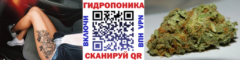 Марихуана OG Kush  блэк спрут маркетплейс  Ипатово 