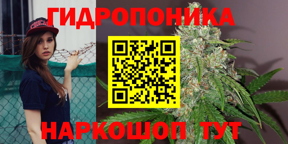 Шишки марихуана Amnesia  Конопля Amnesia  Ипатово  Бошки Шишки OG Kush 